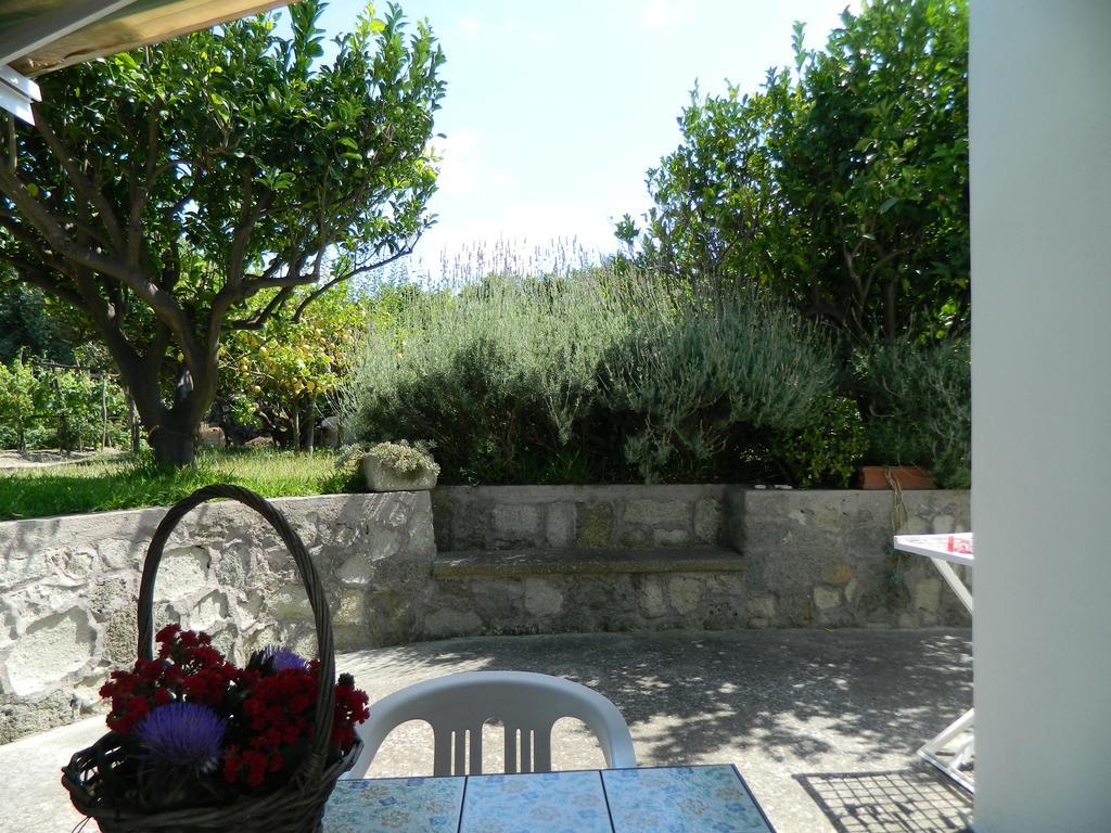 Casa Ischia Lejlighed Forio di Ischia Værelse billede